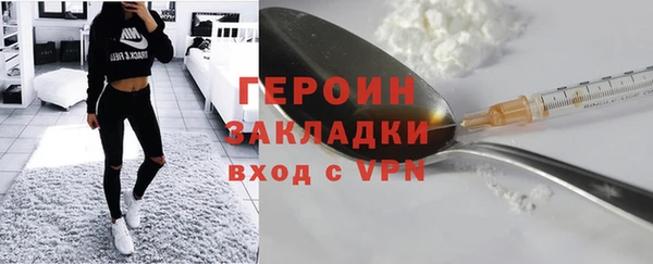 гашик Алексин