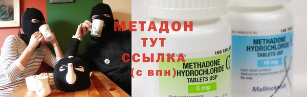 гашик Алексин