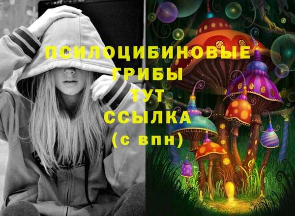 2c-b Алексеевка