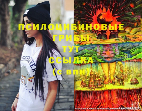 гашик Алексин
