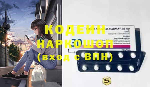 гашик Алексин