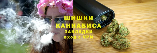 стафф Ладушкин