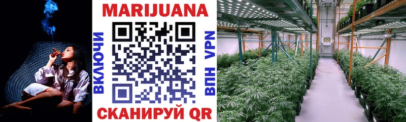 darknet телеграм  Кызыл  МАРИХУАНА гибрид 